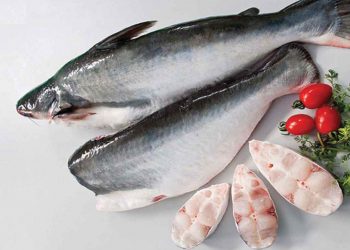 Địa điểm sinh sống của cá Basa