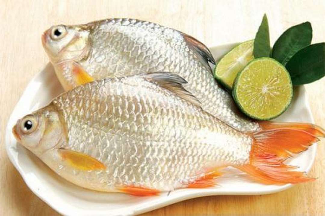 Cá diếc là vị thuốc trong Đông y dùng để chữa bệnh