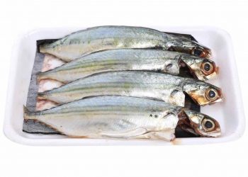 Cá bạc má - Một loài cá biển cực kỳ giàu dinh dưỡng 