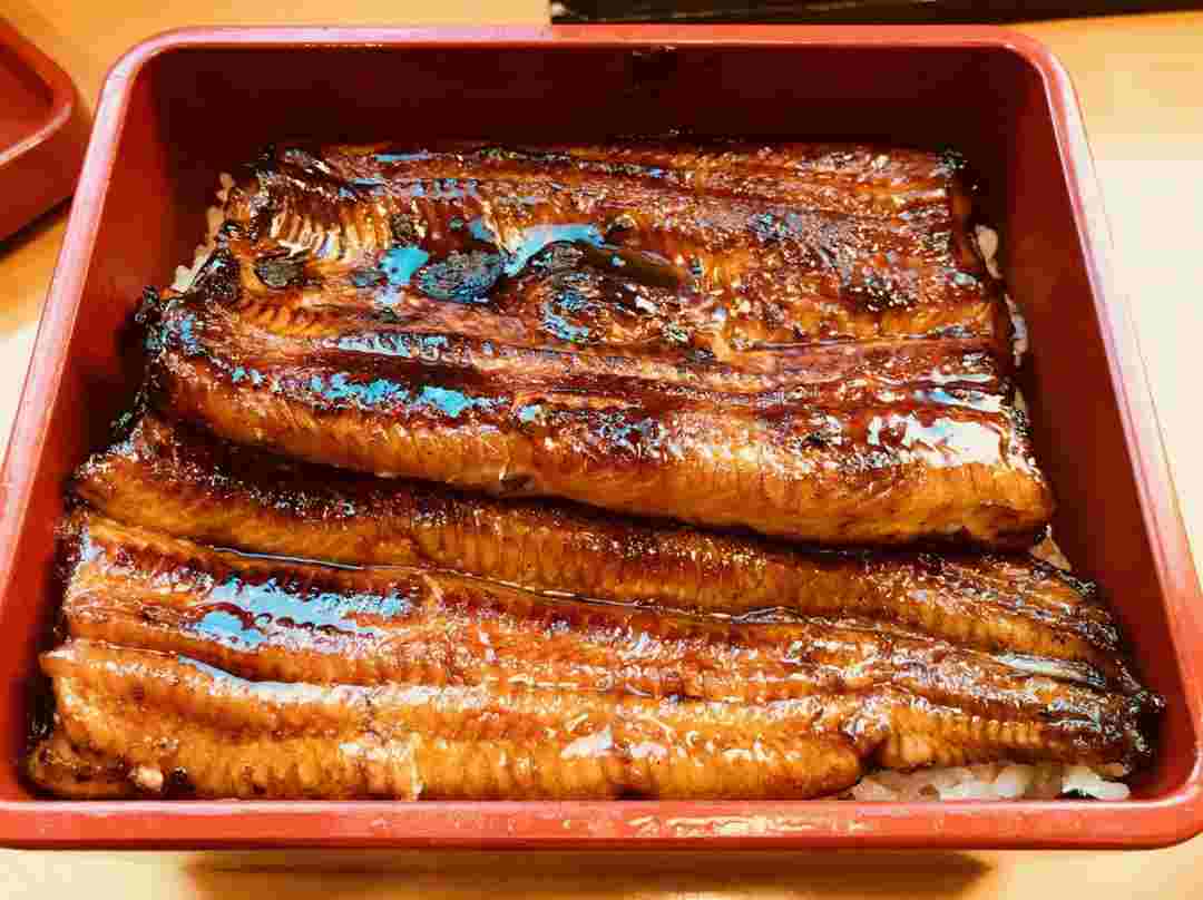 Ẩm thực cá chình của đầu bếp Nhật Bản