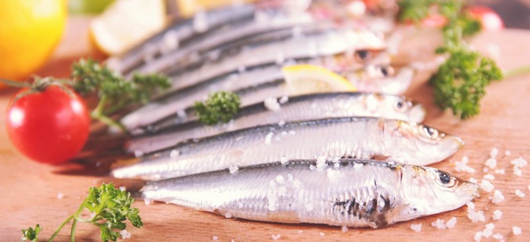 Cá mòi chứa nhiều khoáng chất và vitamin tốt cho sức khỏe