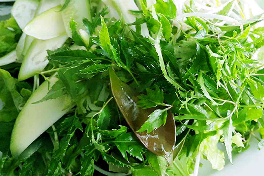Gỏi cá bò gai ăn với đa dạng loại rau