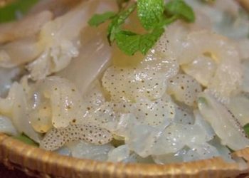 Cách phòng tránh ngộ độc sứa biển