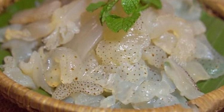 Cách phòng tránh ngộ độc sứa biển