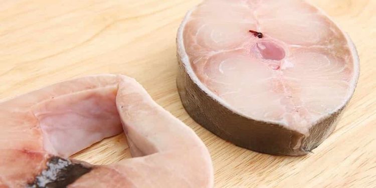 Bà bầu có nên ăn cá bớp không?