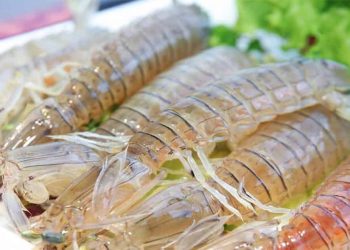 Cách chọn tôm tít tươi ngon