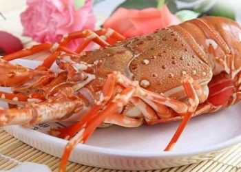 Cách làm tôm hùm xanh hấp nước dừa