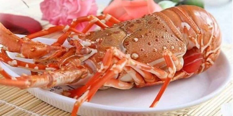 Cách làm tôm hùm xanh hấp nước dừa