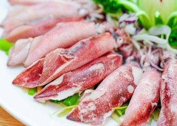 Mực ống có đặc điểm là thân dài