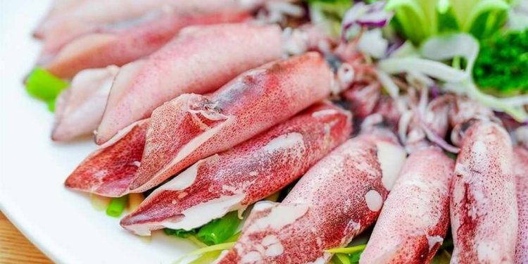 Mực ống có đặc điểm là thân dài