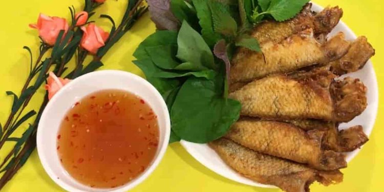 Tổng hợp món ngon từ cá mó