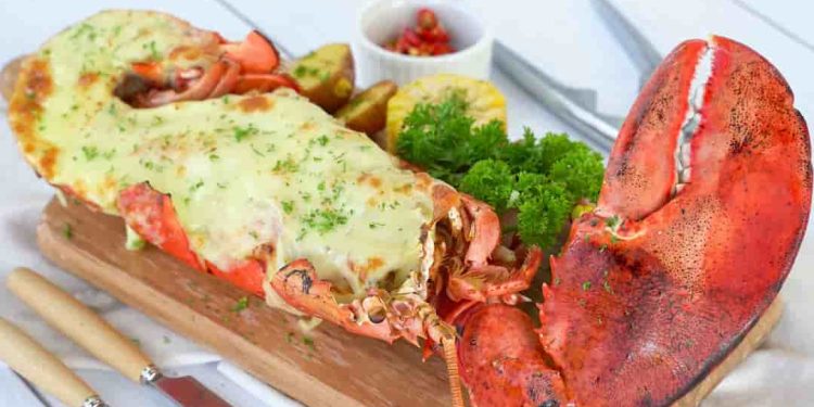 Tôm hùm Alaska là một loại hải sản quý, có giá trị dinh dưỡng cao. Thịt tôm có màu trắng, dai thơm, vị ngọt đậm. Cách chế biến tôm hùm Alaska cũng không hề khó.