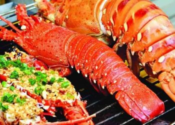 Các loại tôm hùm ngon nhất