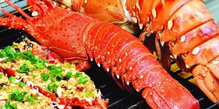 Các loại tôm hùm ngon nhất