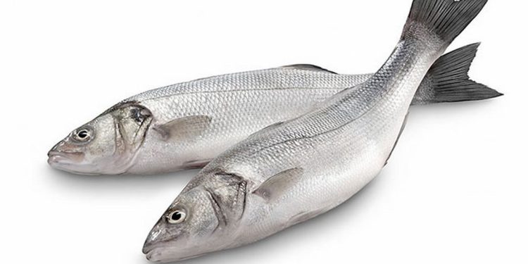 Dinh dưỡng có trong cá chém