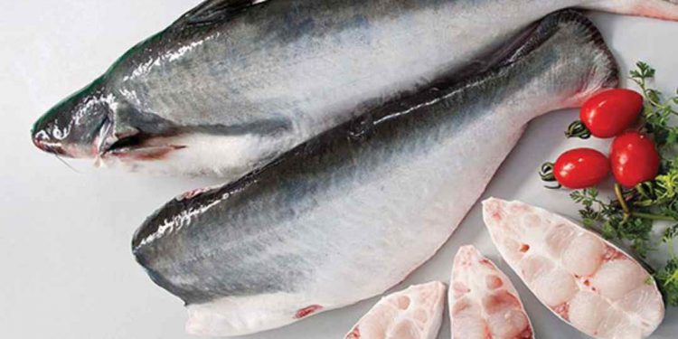 Địa điểm sinh sống của cá Basa