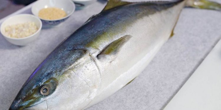 Chất dinh dưỡng trong cá mang lại nhiều lợi ích tuyệt vời