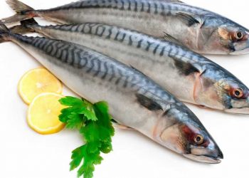 Giá trị dinh dưỡng của cá thu