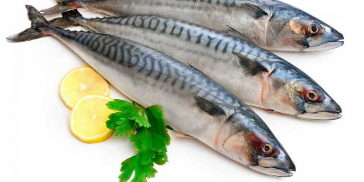 Giá trị dinh dưỡng của cá thu