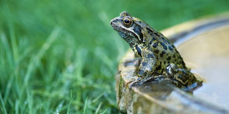 Bổ sung dưỡng chất