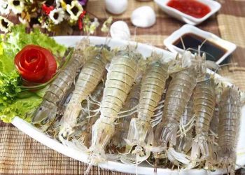 Bề bề còn được gọi là tôm tít