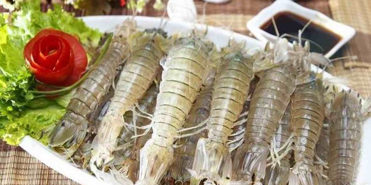 Bề bề còn được gọi là tôm tít