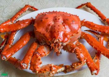 Món ăn hấp dẫn đơn giản dễ làm tại nhà