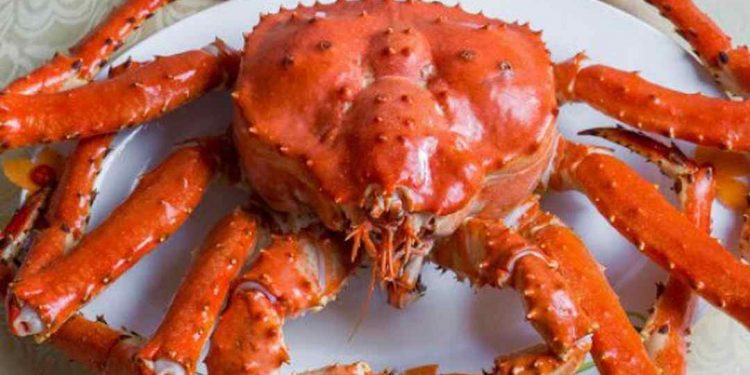 Món ăn hấp dẫn đơn giản dễ làm tại nhà