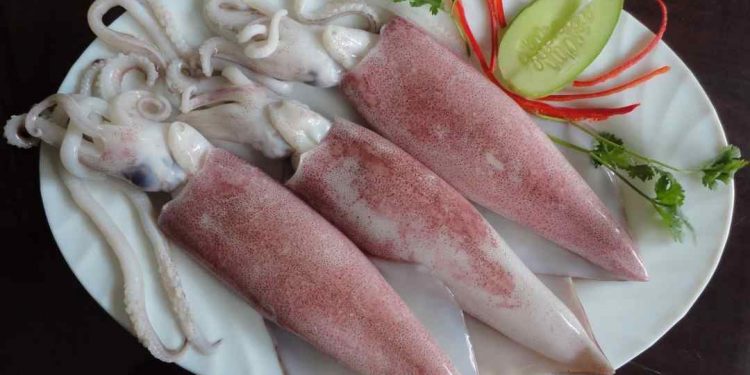 Thời tiết vào đông, món mực ống hấp nhất định các bạn không thể bỏ qua