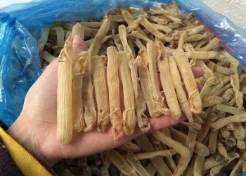 Cách rang sá sùng khô