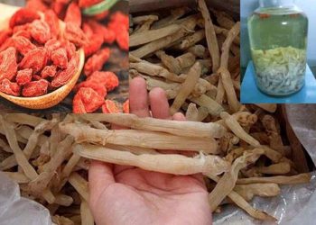 Nguyên liệu ngâm rượu sá sùng