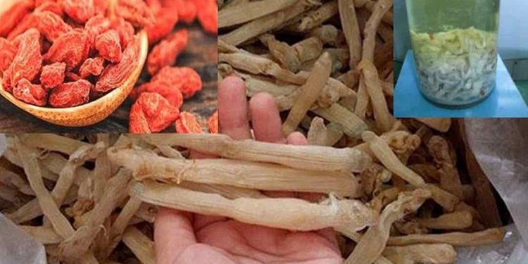 Nguyên liệu ngâm rượu sá sùng