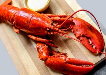 Khi hấp chín có màu đỏ hấp dẫn