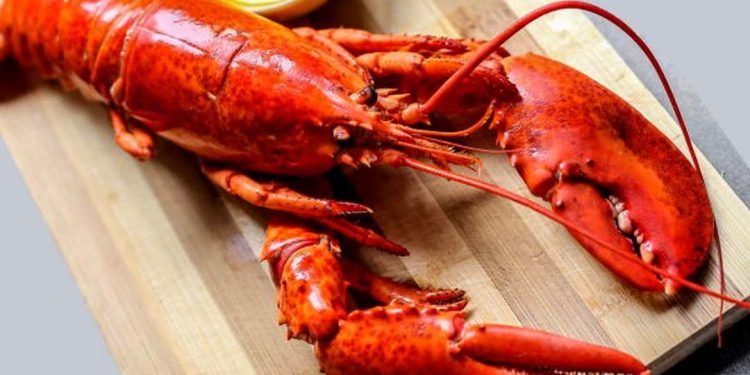 Khi hấp chín có màu đỏ hấp dẫn