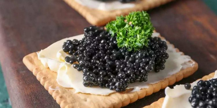 Lý do nào khiến trứng của cá tầm đắt đỏ đến vậy ?