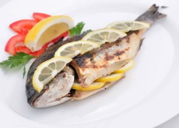 Hầu hết cá cam được nuôi chủ yếu tại Nhật Bản