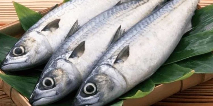 Ăn cá thu có tốt không?