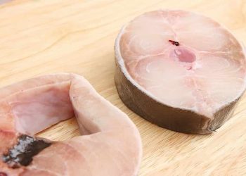 Bà bầu có nên ăn cá bớp không?