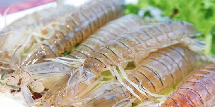 Cách chọn tôm tít tươi ngon