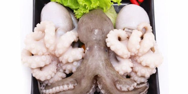 Các cách làm bạch tuộc xào siêu ngon