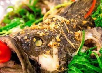 Cách làm Cá bớp hấp