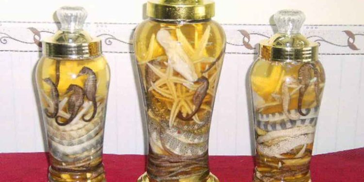 Hướng dẫn cách ngâm rượu sao biển chuẩn nhất