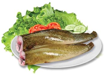 Công dụng của cá trê