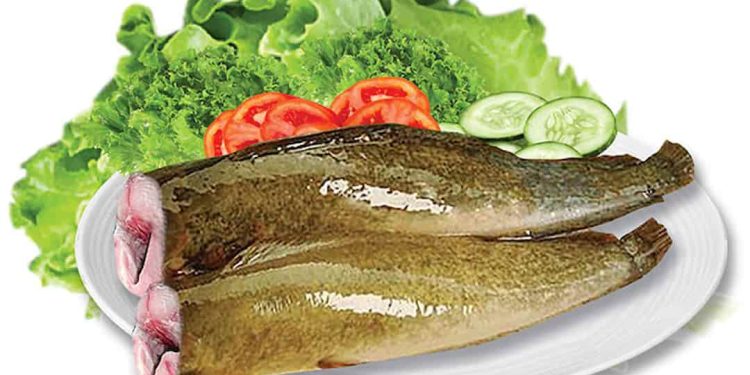 Công dụng của cá trê