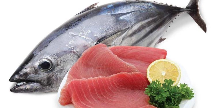 Kinh nghiệm chọn cá ngừ bạn đã biết?