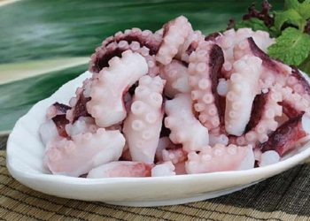 Lợi ích của bạch tuộc đối với sức khỏe chúng ta