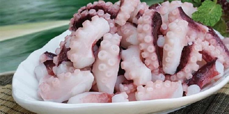 Lợi ích của bạch tuộc đối với sức khỏe chúng ta