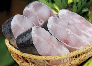 Lợi ích sức khỏe của cá Basa