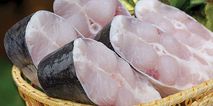 Lợi ích sức khỏe của cá Basa