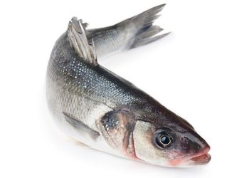 Lợi ích của cá chẽm về dinh dưỡng